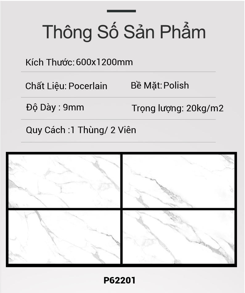 Gạch Ấn Độ 60x120 P62201