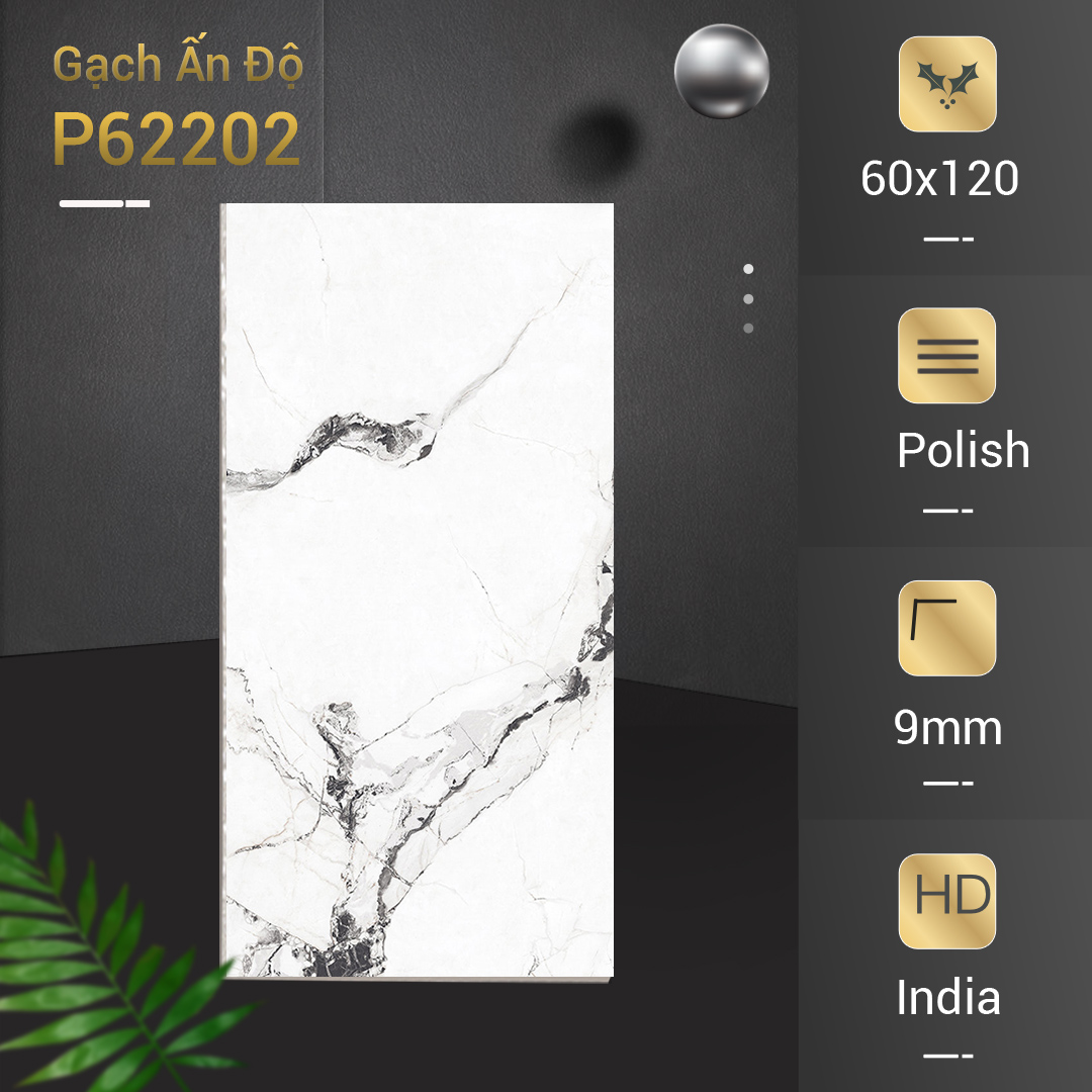 Gạch Ấn Độ 60x120 P62202