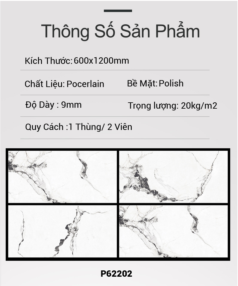 Gạch Ấn Độ 60x120 P62202