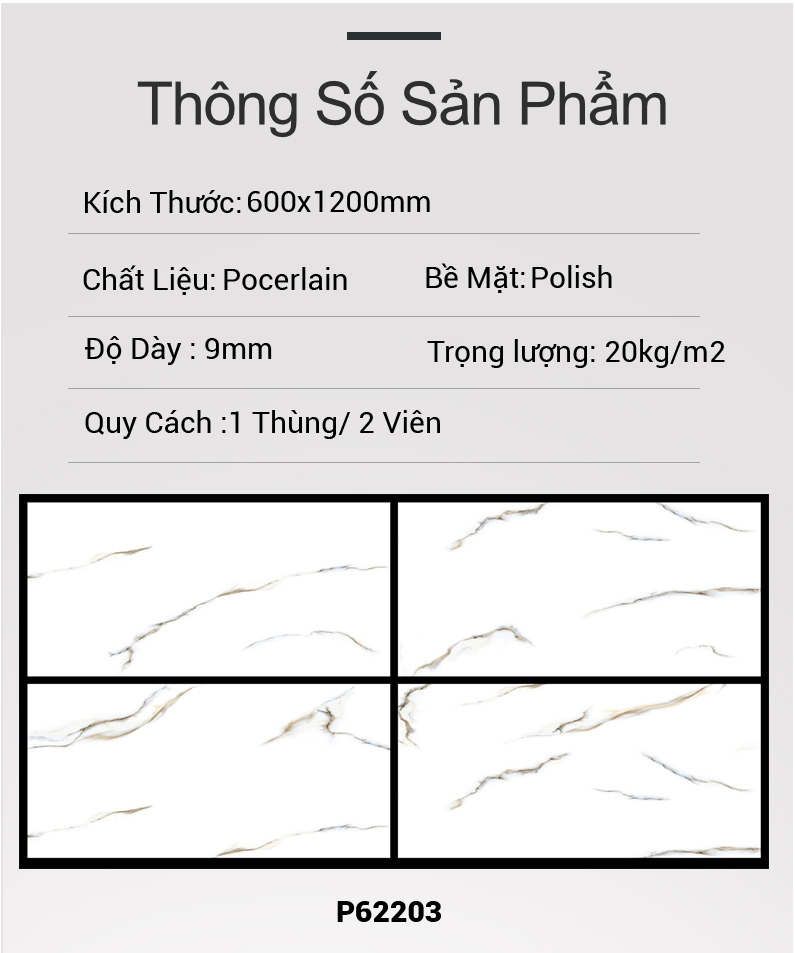 Gạch Ấn Độ 60x120 P62203