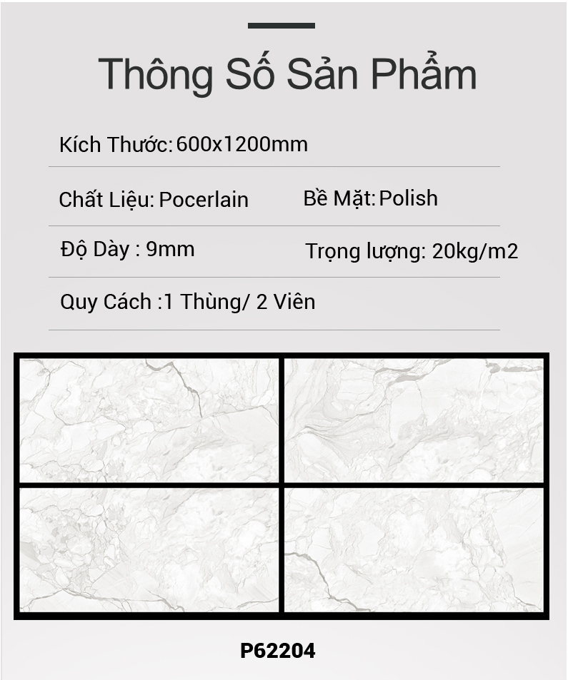 Gạch Ấn Độ 60x120 P62204