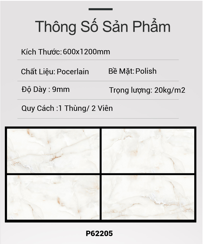 Gạch Ấn Độ 60x120 P62205