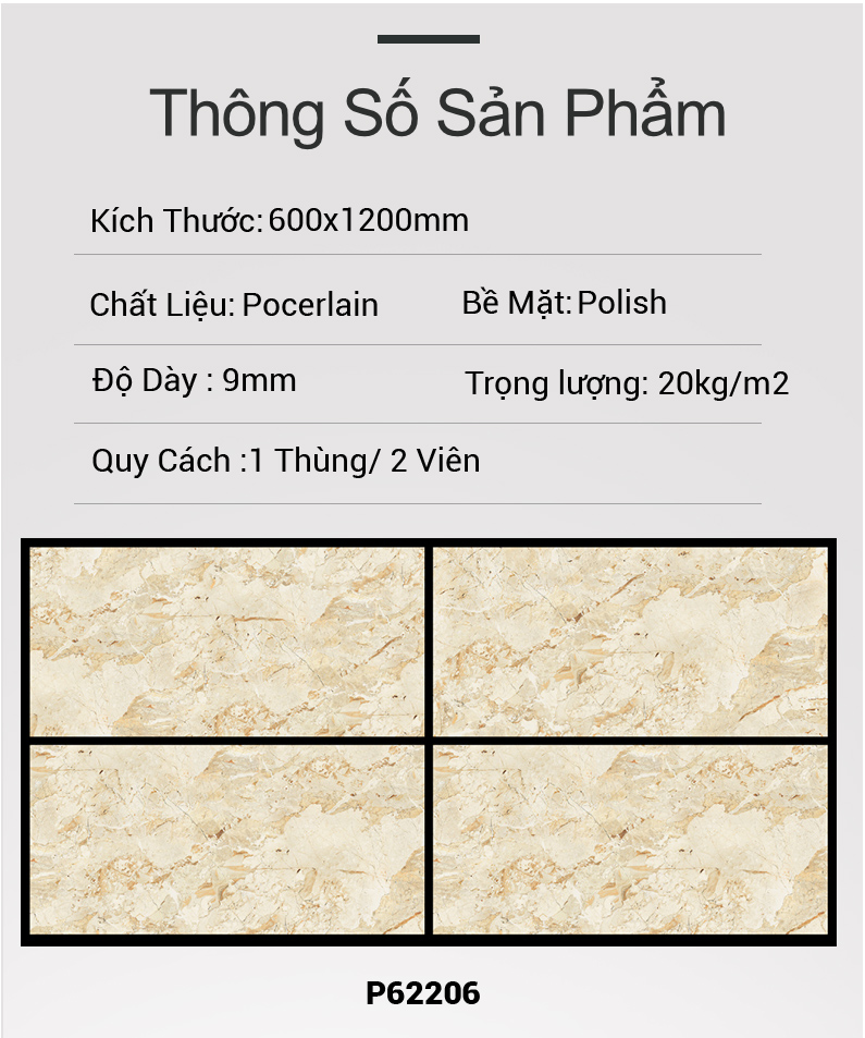 Gạch Ấn Độ 60x120 P62206