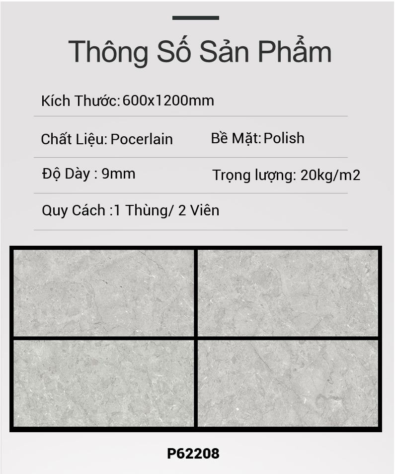 Gạch Ấn Độ 60x120 P62208