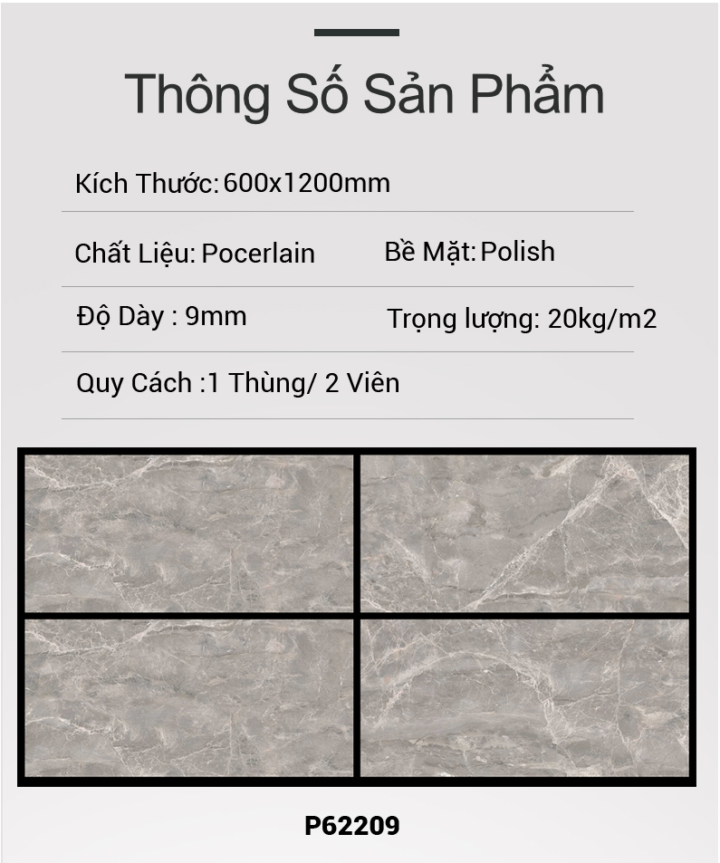 Gạch Ấn Độ 60x120 P62209