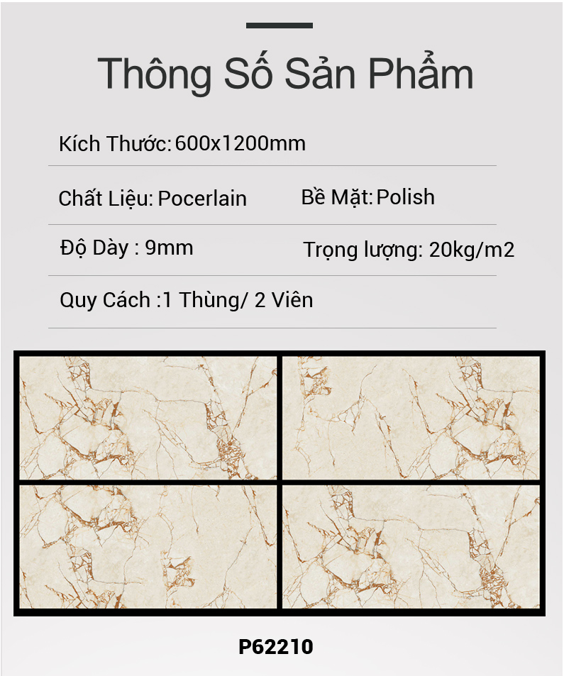Gạch Ấn Độ 60x120 P62210