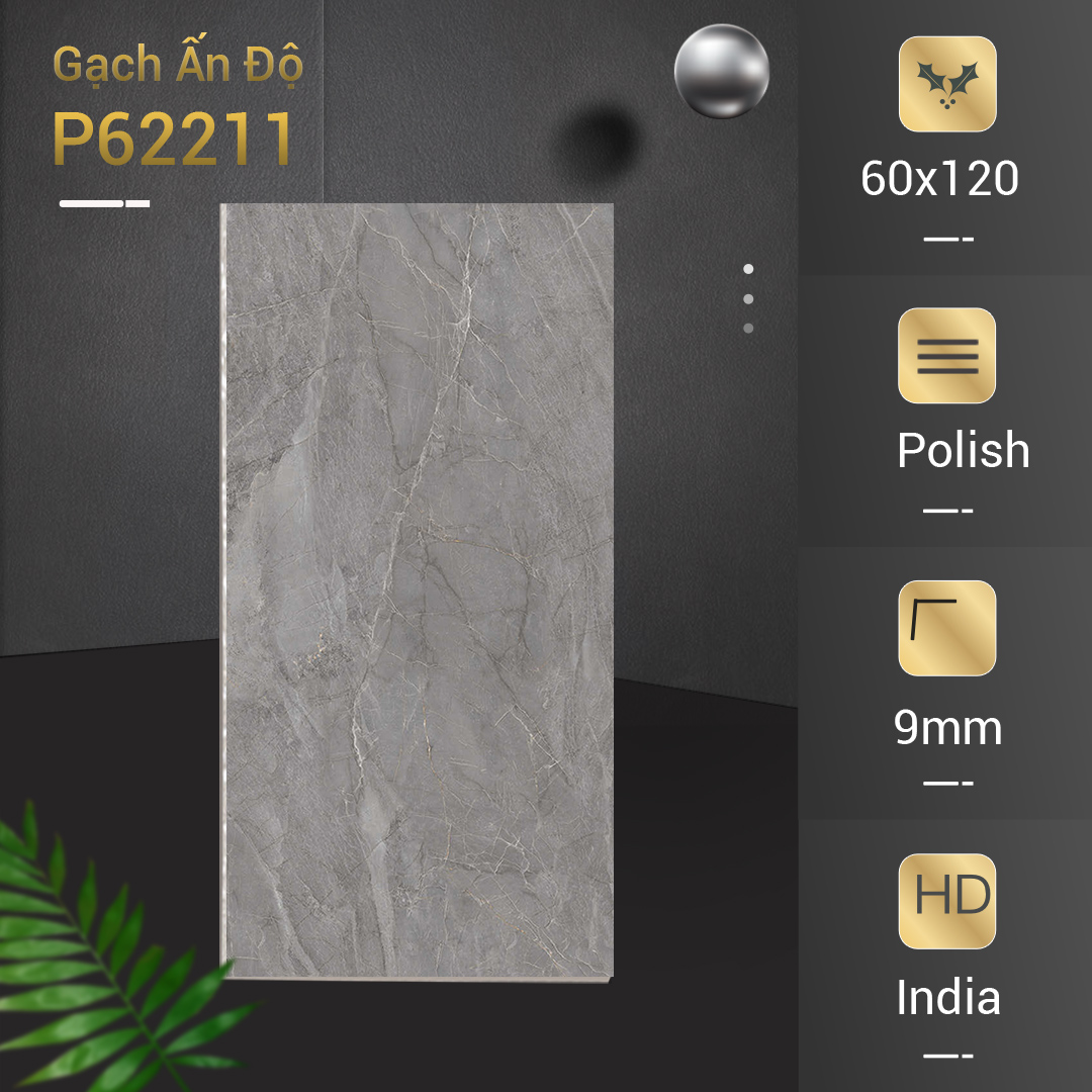 Gạch Ấn Độ 60x120 P62211