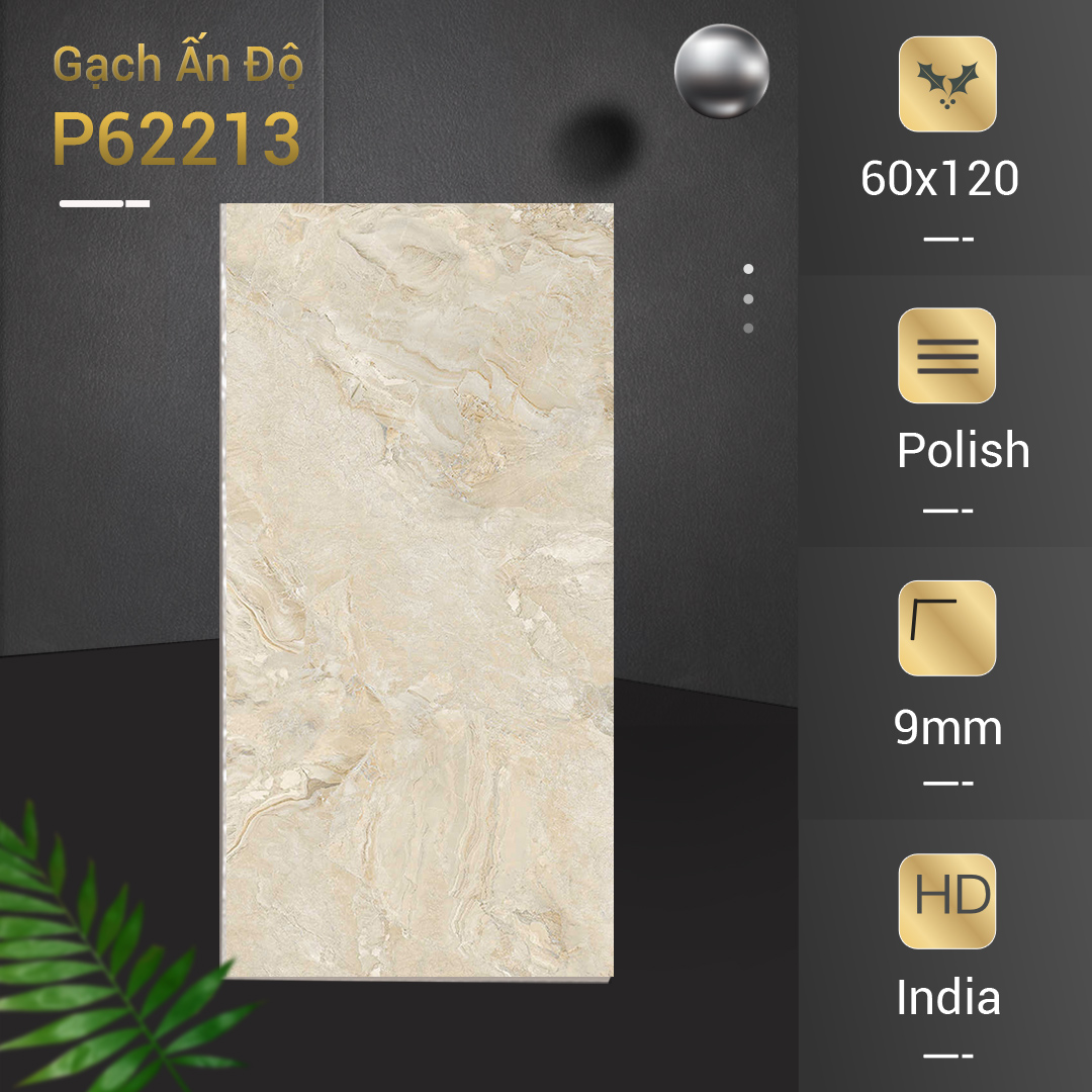 Gạch Ấn Độ 60x120 P62213