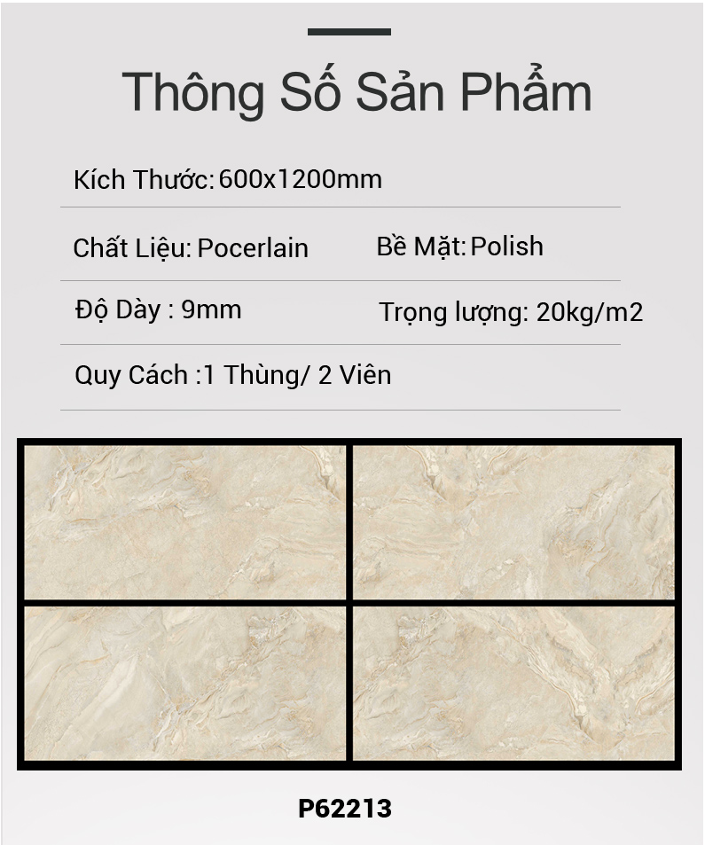 Gạch Ấn Độ 60x120 P62213