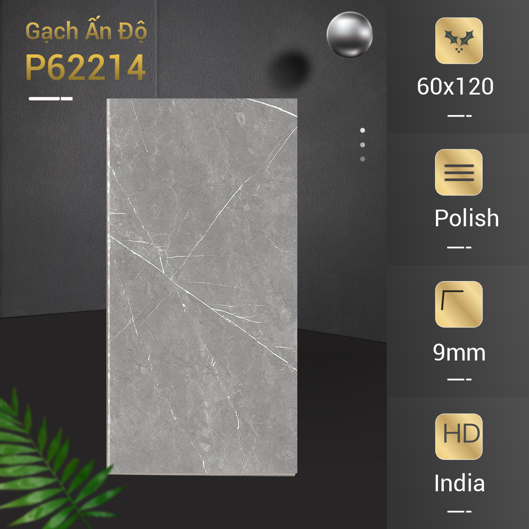 Gạch Ấn Độ 60x120 P62214