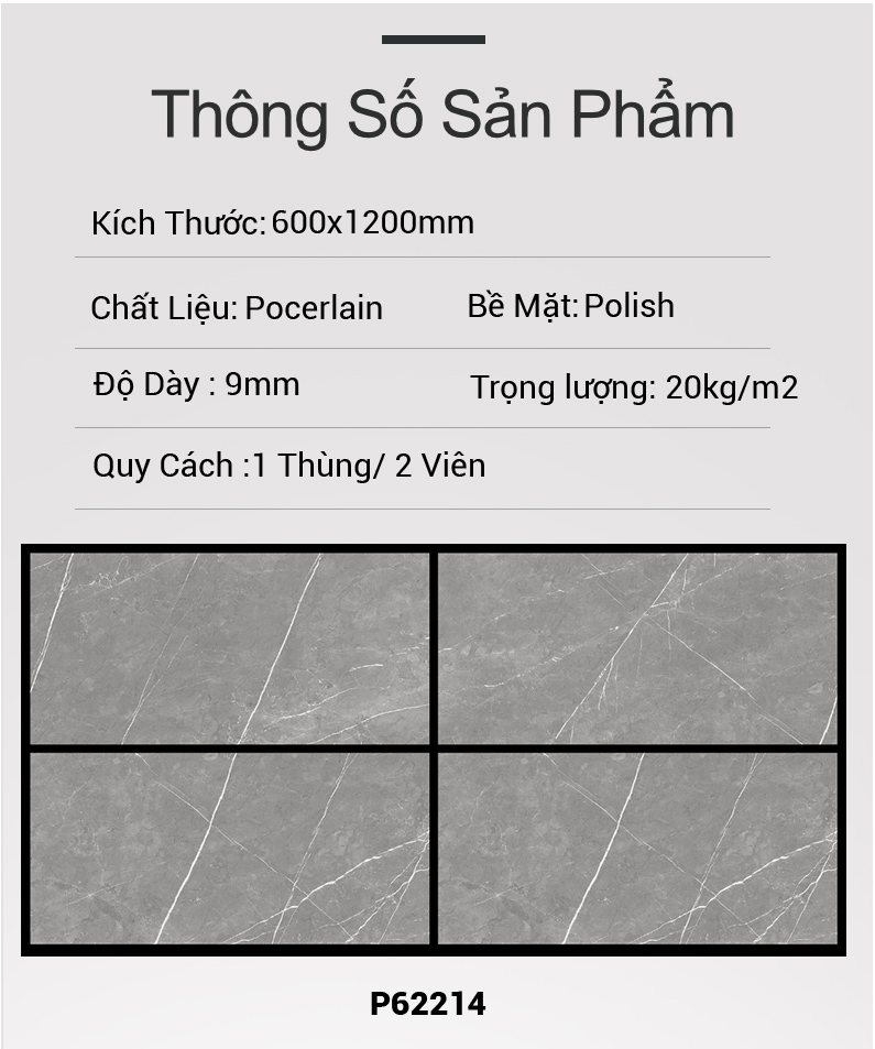 Gạch Ấn Độ 60x120 P62214