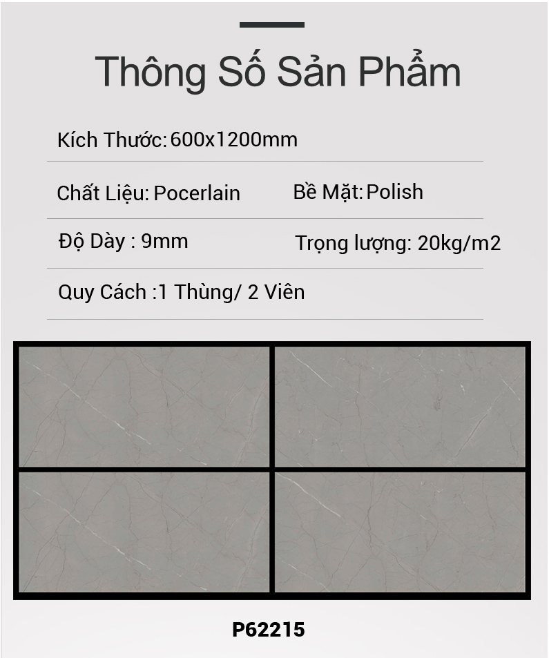 Gạch Ấn Độ 60x120 P62215