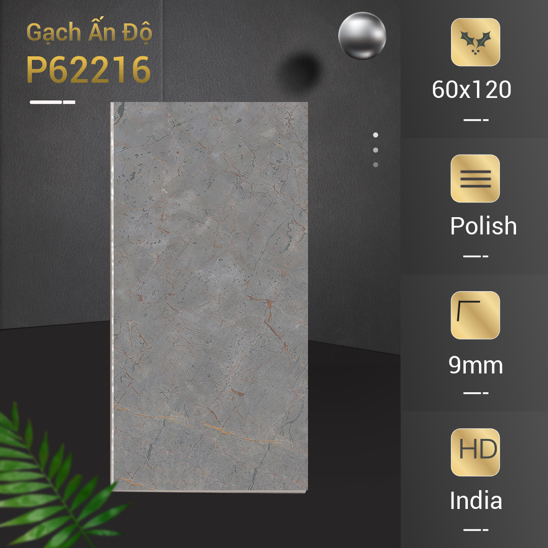 Gạch Ấn Độ 60x120 P62216