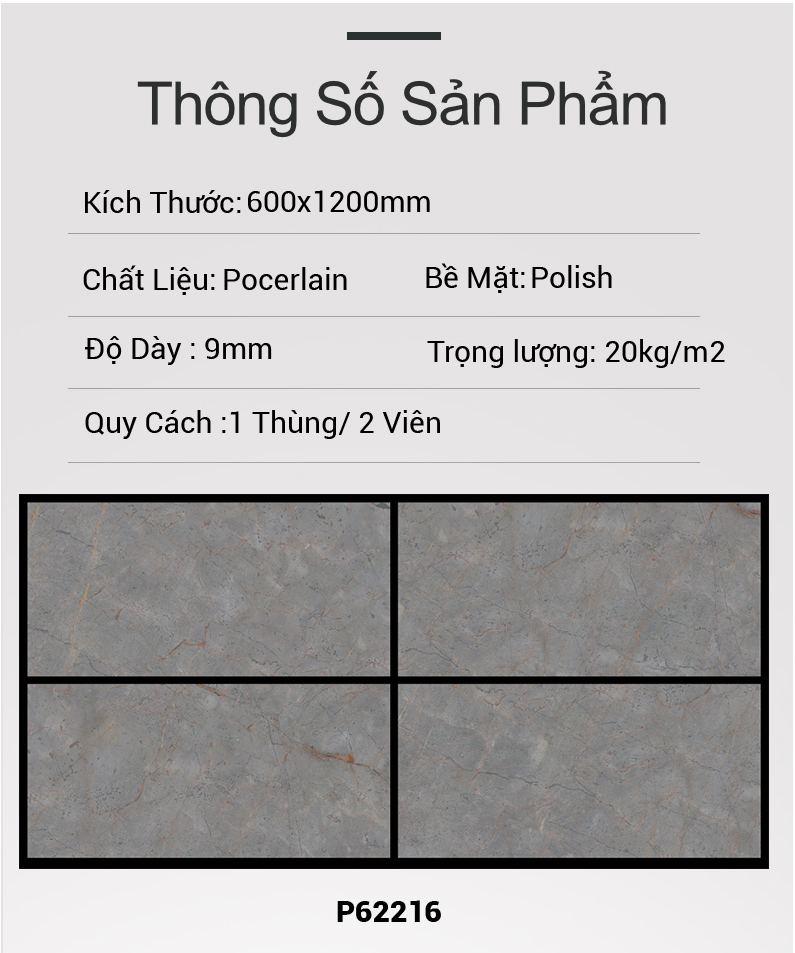 Gạch Ấn Độ 60x120 P62216