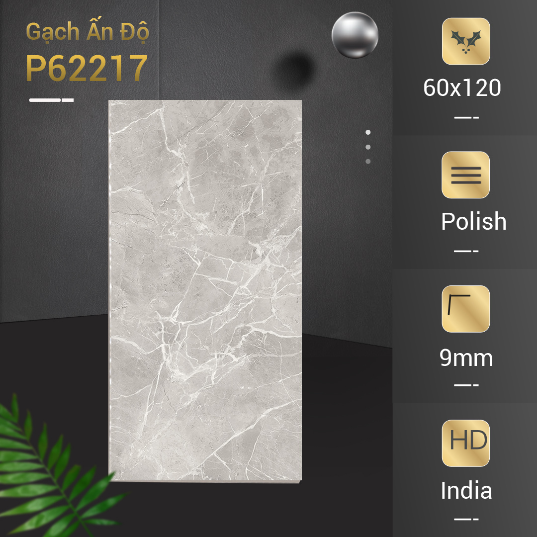 Gạch Ấn Độ 60x120 P62217