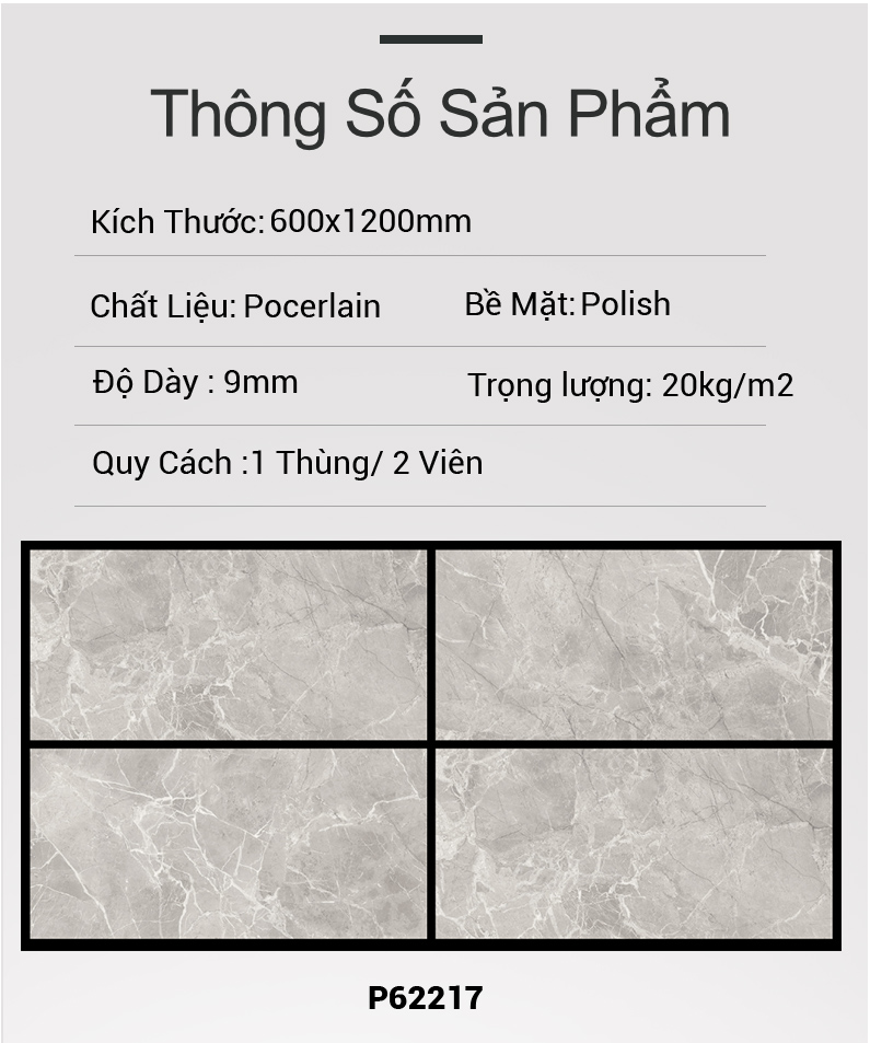 Gạch Ấn Độ 60x120 P62217