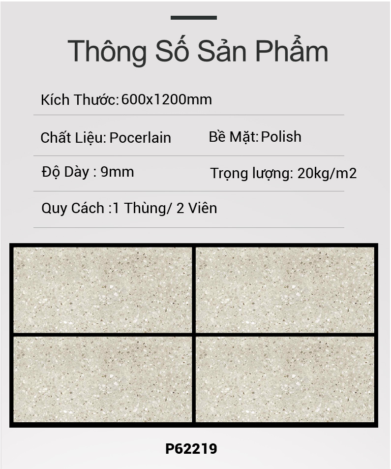 Gạch Ấn Độ 60x120 P62219