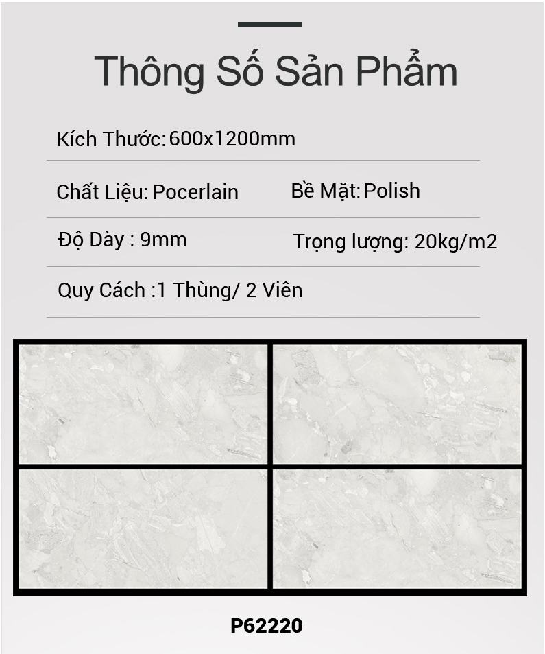 Gạch Ấn Độ 60x120 P62220