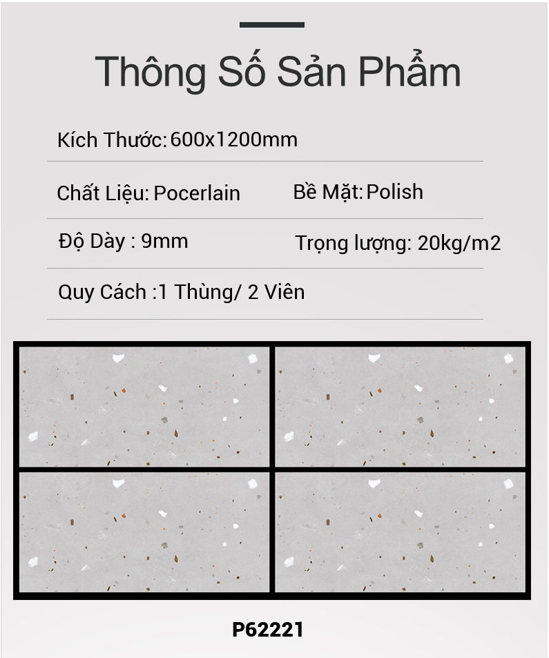 Gạch Ấn Độ 60x120 P62221