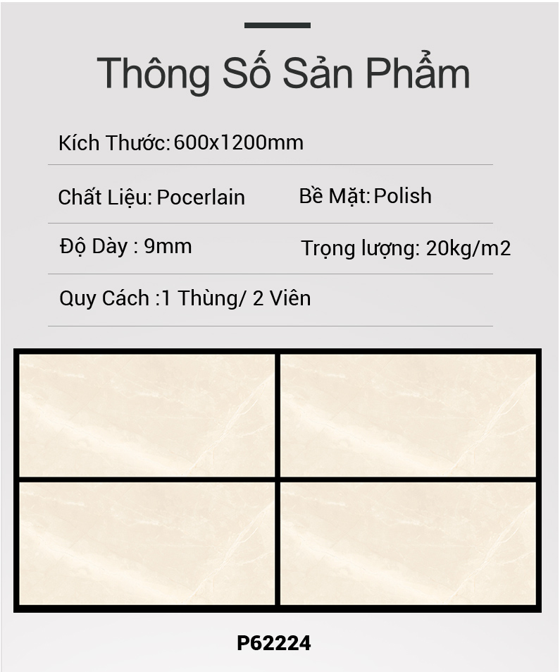 Gạch Ấn Độ 60x120 P62224