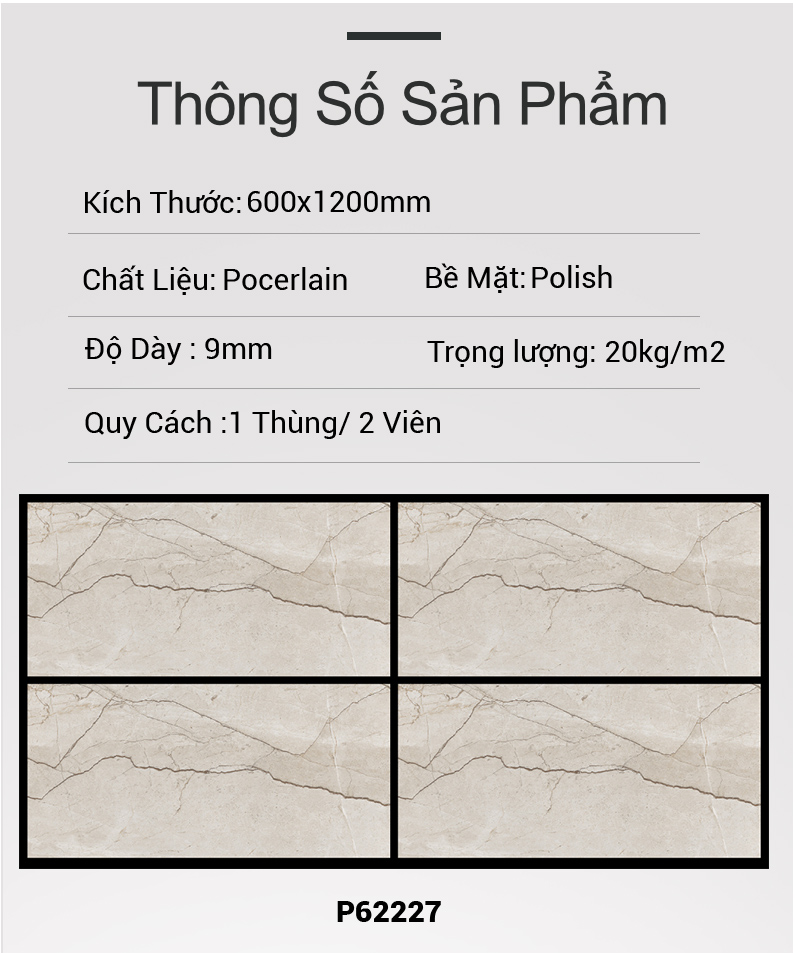Gạch Ấn Độ 60x120 P62227