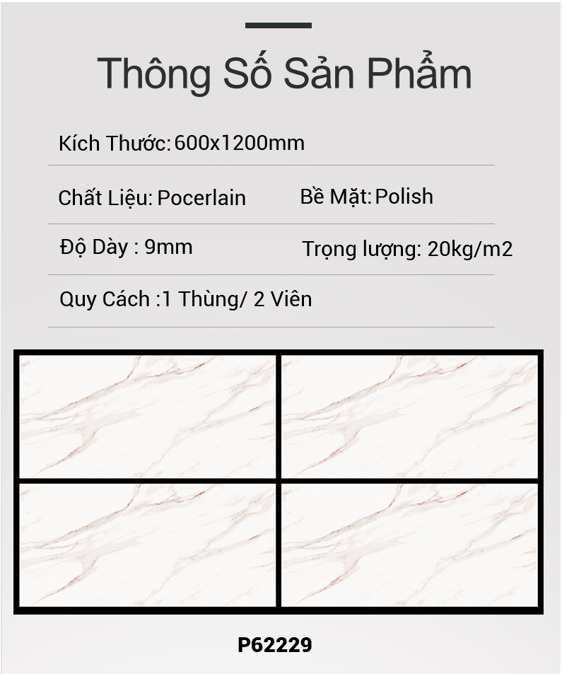 Gạch Ấn Độ 60x120 P62229