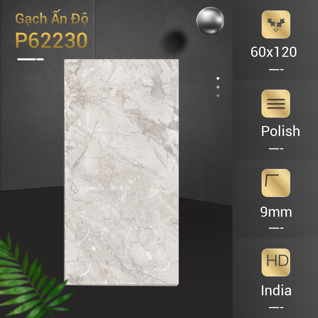 Gạch Ấn Độ 60x120 P62230
