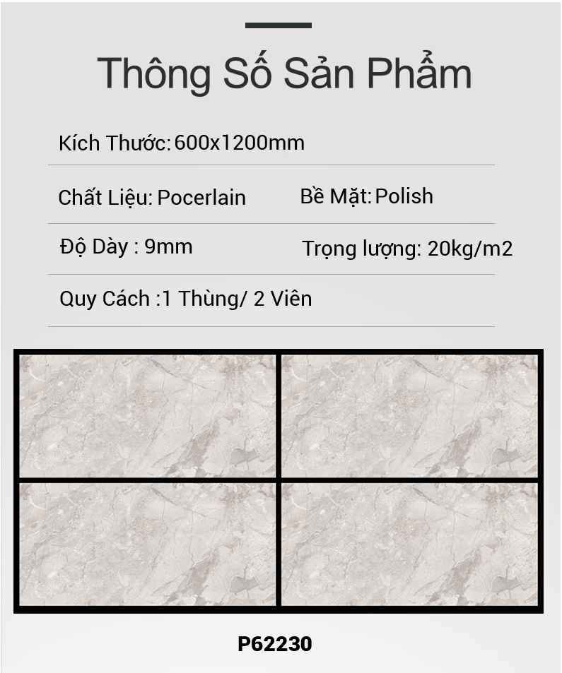 Gạch Ấn Độ 60x120 P62230