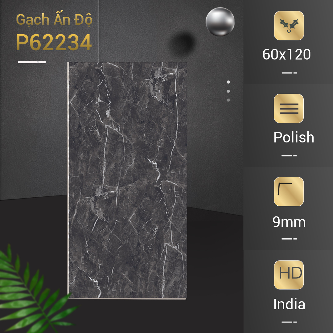 Gạch Ấn Độ 60x120 P62234