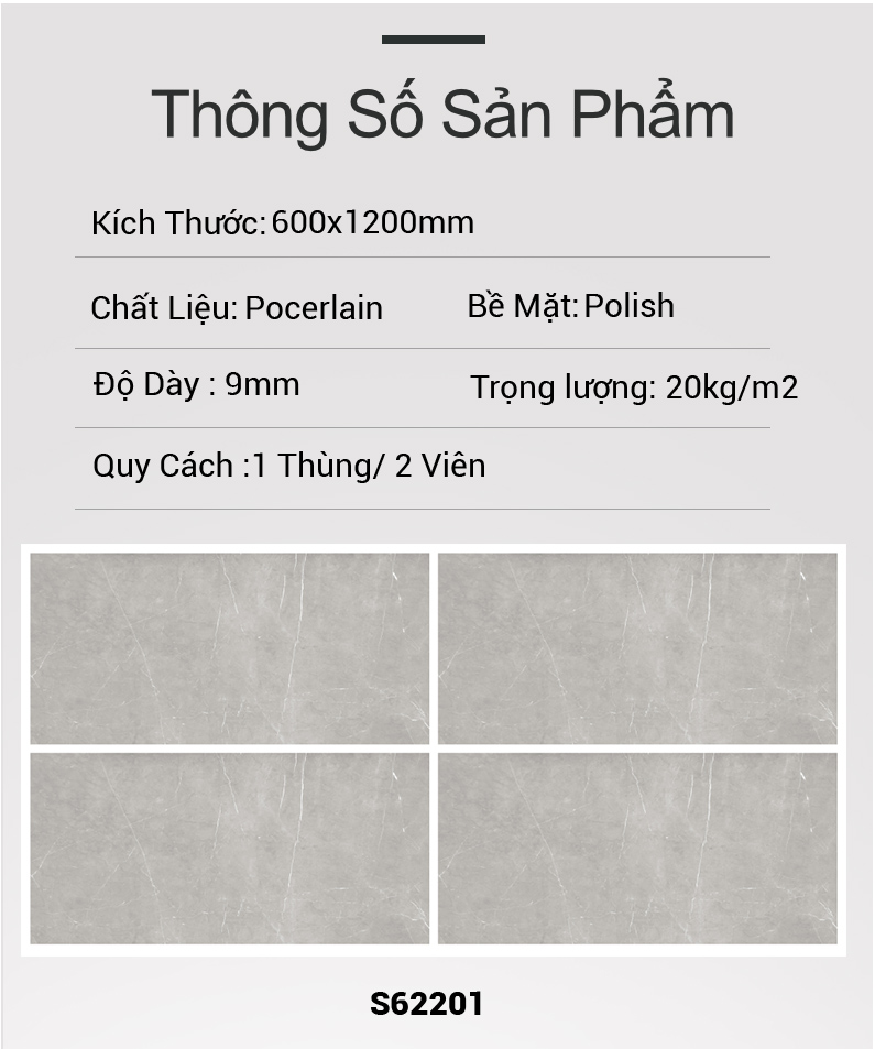 Gạch Ấn Độ 60x120 S62201