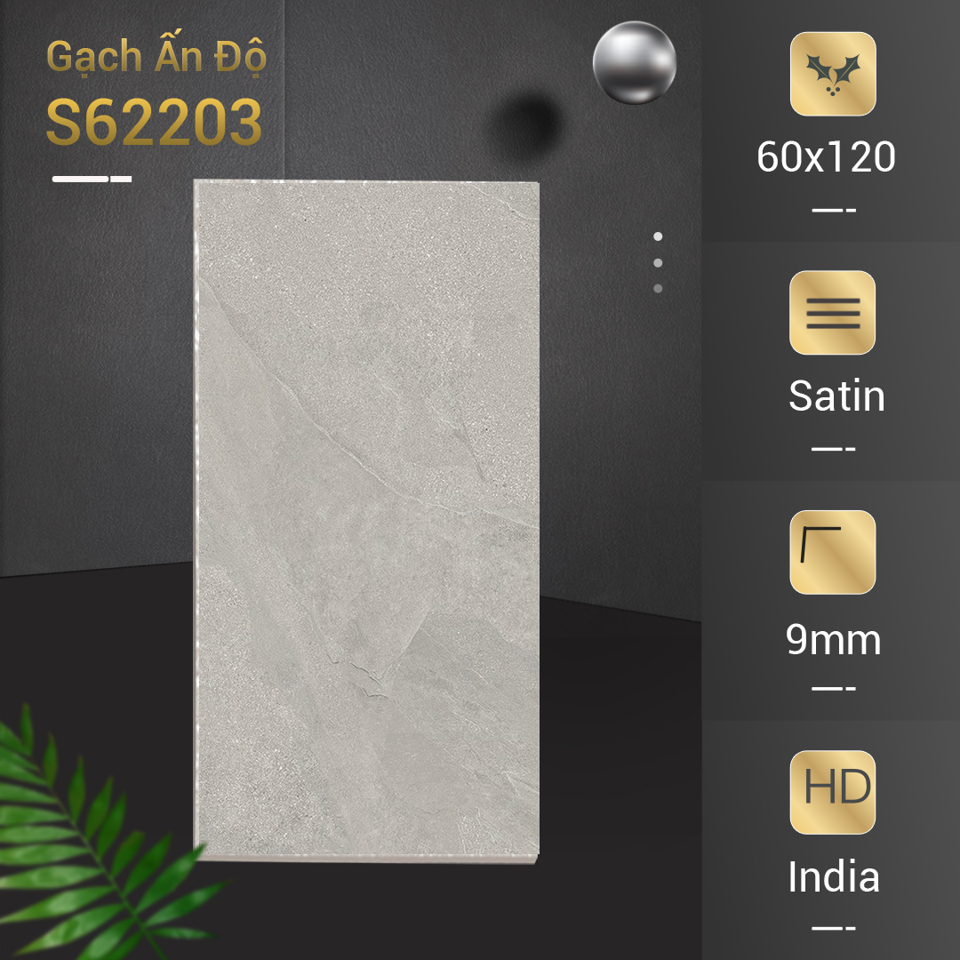 Gạch Ấn Độ 60x120 S62203