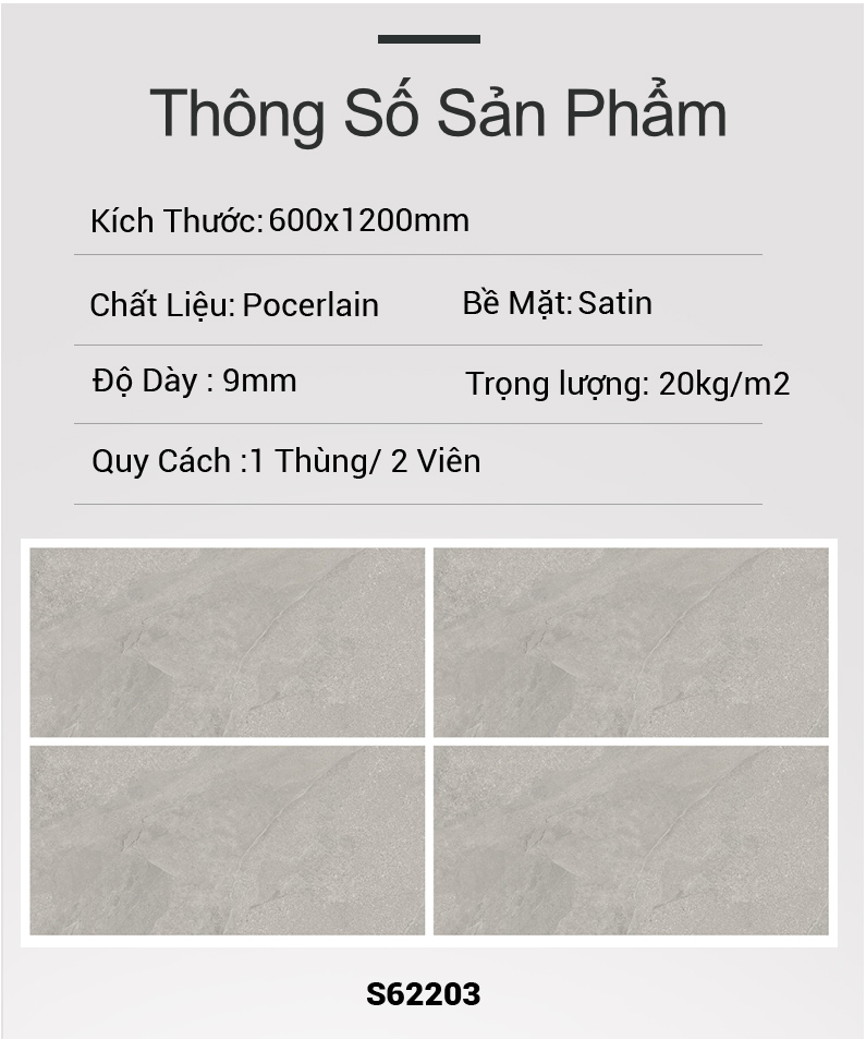 Gạch Ấn Độ 60x120 S62203