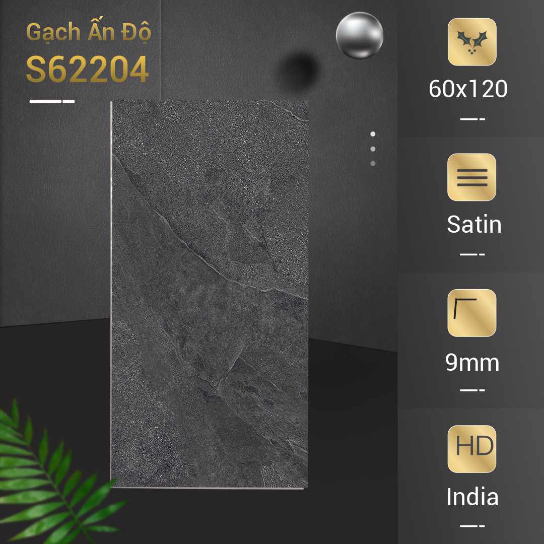 Gạch Ấn Độ 60x120 S62204