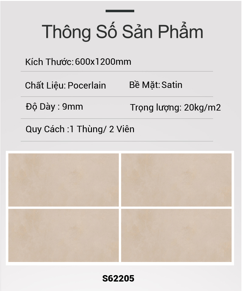 Gạch Ấn Độ 60x120 MT62205