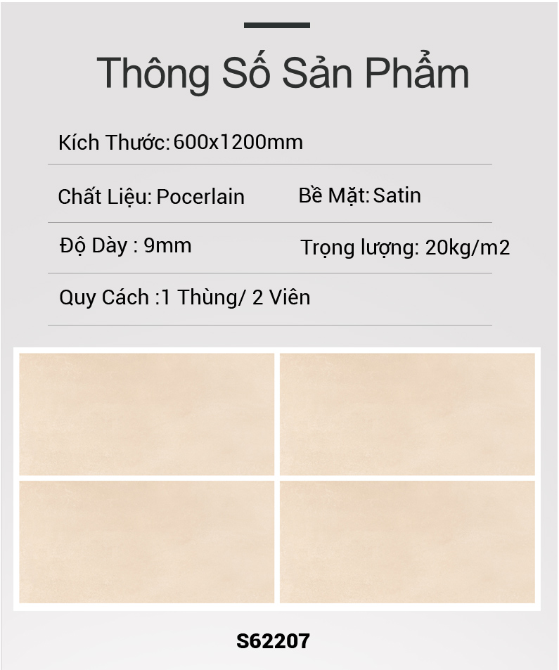 Gạch Ấn Độ 60x120 MT62207