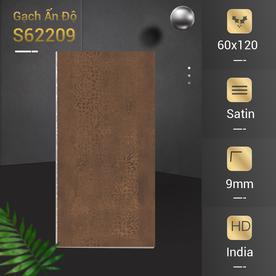 Gạch Ấn Độ 60x120 MT62209