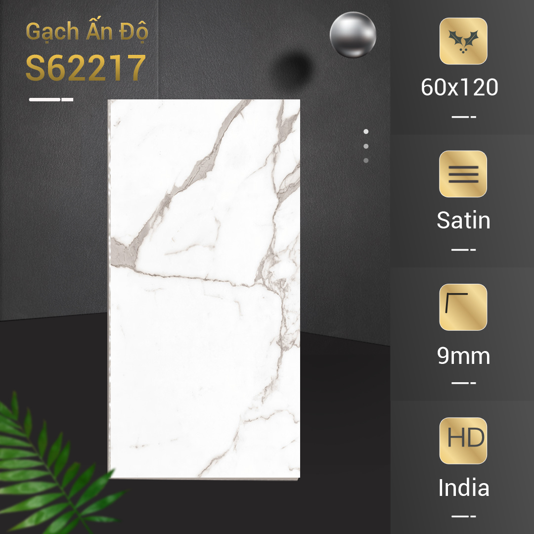 Gạch Ấn Độ 60x120 GL62217
