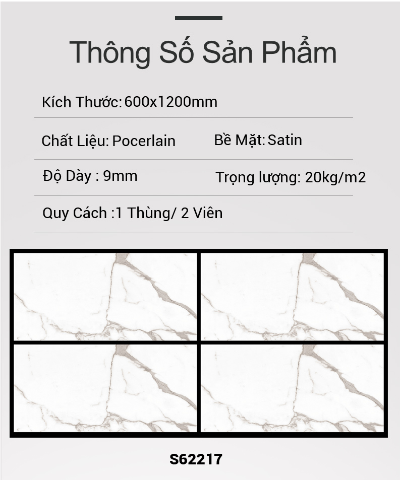 Gạch Ấn Độ 60x120 GL62217