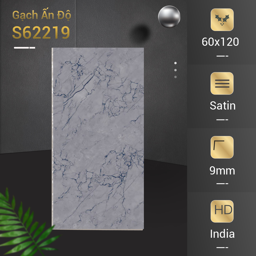 Gạch Ấn Độ 60x120 GL62219