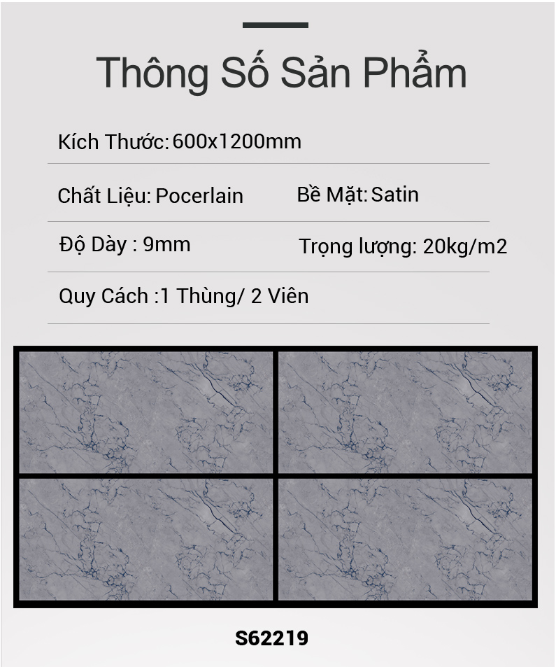 Gạch Ấn Độ 60x120 GL62219