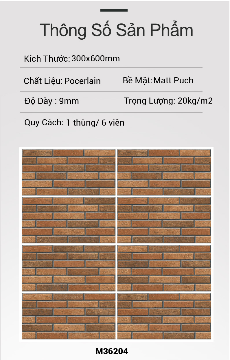 Gạch Ấn Độ 30x60 M36204