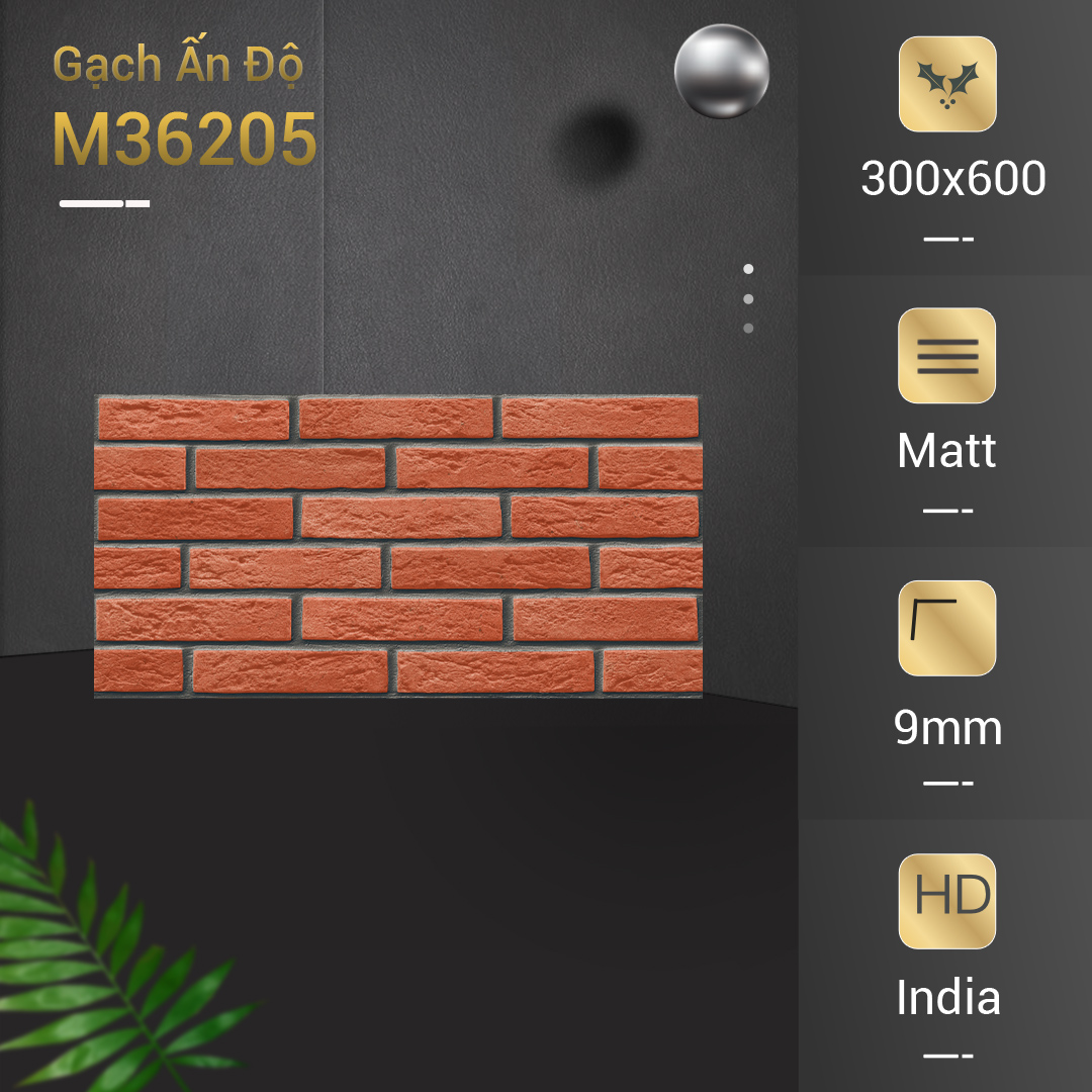 Gạch Ấn Độ 30x60 M36205