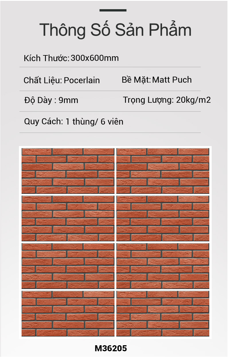 Gạch Ấn Độ 30x60 M36205