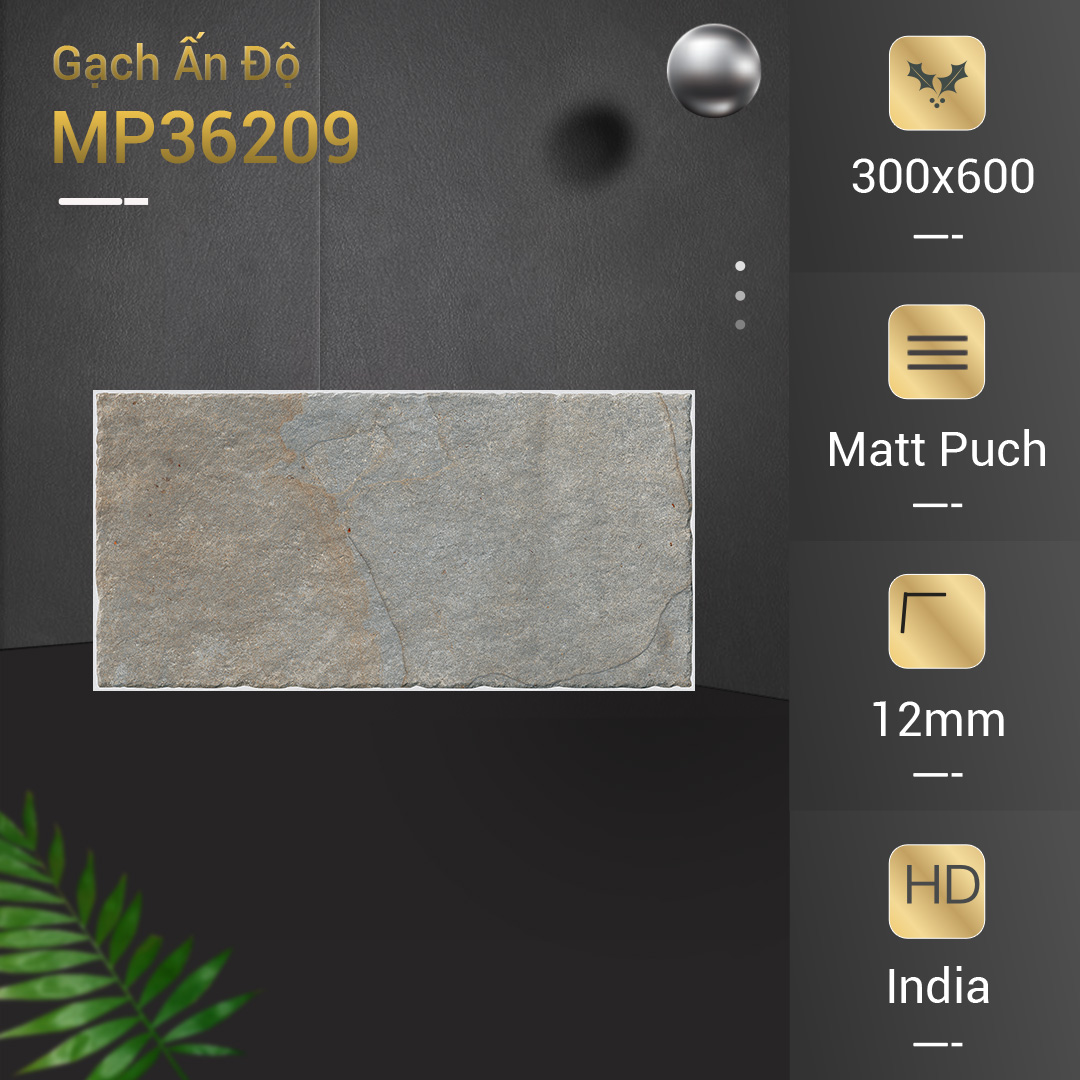 Gạch Ấn Độ 30x60 MP36209