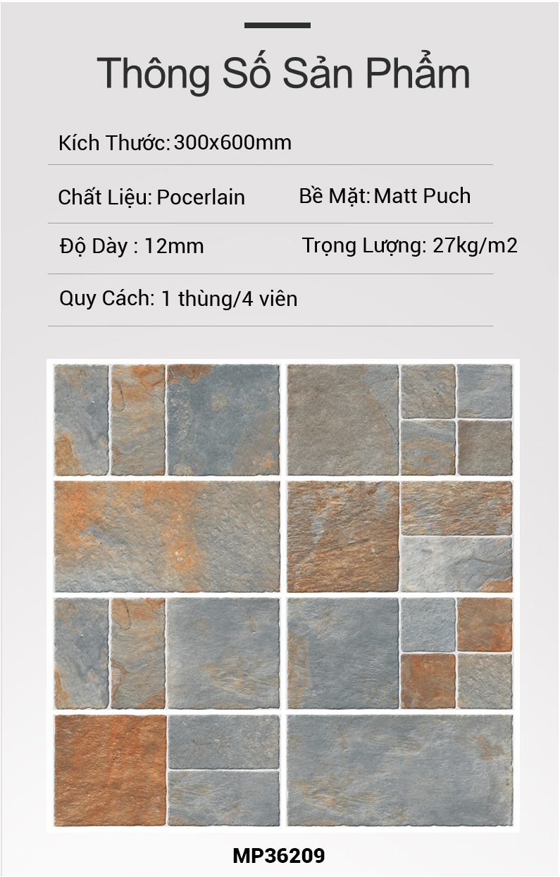 Gạch Ấn Độ 30x60 MP36209