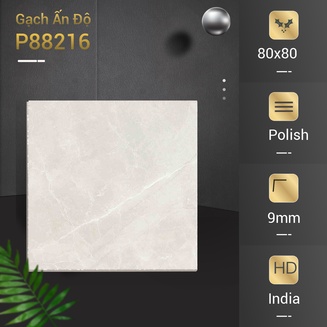 Gạch Ấn Độ 80x80 P88216
