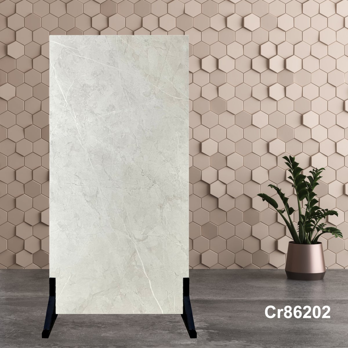 Gạch Ấn Độ 80x160 Cr86202