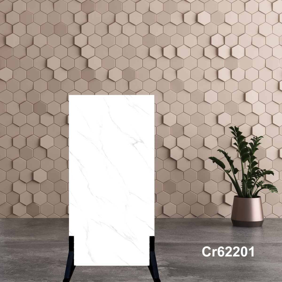 Gạch Ấn Độ 60x120 Cr62201