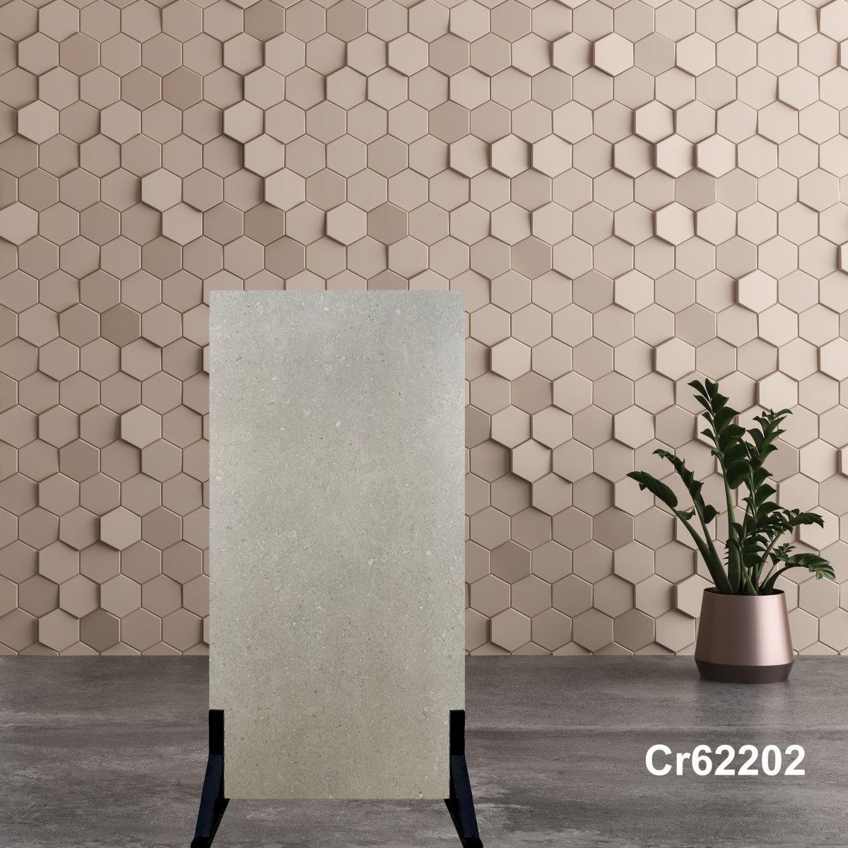 Gạch Ấn Độ 60x120 Cr62202