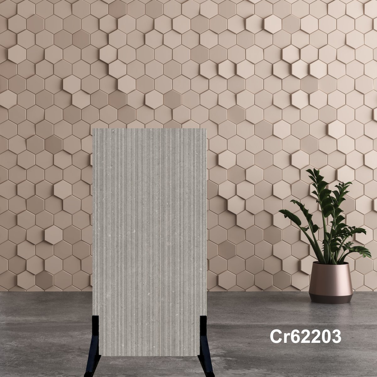 Gạch Ấn Độ 60x120 Cr62203